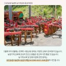 당진시 농업기술센터 남부지소 이미지