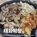 [울산 중구 막창 맛집] 태화막창 솔직후기｜태화강국가정원 맛집