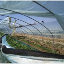 봄바람하우스 이미지