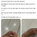 샤넬 반지 끼고 습진 생긴 사람들.thread 이미지