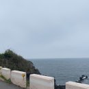 제주도유사주민