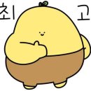 르노삼성 항구점 이미지