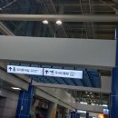 제주도 우정의 도피 후기 1편