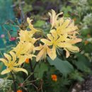 원암경로당 이미지