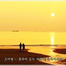 조아람 - 물레방아 도는 내력(전자바이올린) 이미지