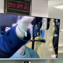 석현목장 이미지