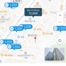 아가베 서울(Agave) | [서울 희귀식물] 용리단길 아프리카 식물샵, 비자르플랫폼 방문 후기