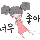 아꼬아 펫 살롱 이미지