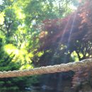 힐링라이프의원 이미지