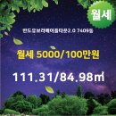 왕 공인중개사사무소 이미지