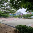 서어지공원(중앙광장) 이미지