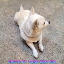 비취 노래연습장 이미지