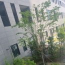 춘천 한숲시티 게스트하우스예약