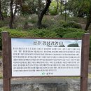 화순읍 향청공영주차장 옆 | 상주 시내 가볼만한 곳(상주경상감영터, 상주향청, 상주임란북천전적지)