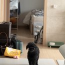 보배약국앞 | 26년 3월 기록 (2)