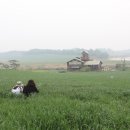 경주목장 이미지