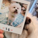 삐약네 새참 이미지