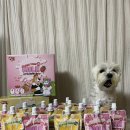 리틀포우 이미지