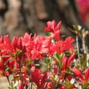 점촌중학교 이미지