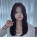 스타일콕콕