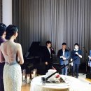 케미컬사운즈 이미지