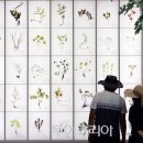 민간약초 생활한방 이미지