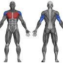 올페이스짐 이미지