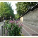 로터리길 이미지