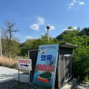 강원도 영월 여행) 한반도뗏목마을, 영월 한반도 지형 근처 뗏목체험