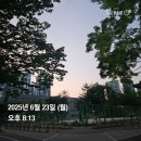 길동보부상 | 6월 4주 차 주간 일기(6.22~6.28)