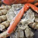 송림 회 식당 Daum카페