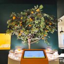 감귤박물관 위 이미지