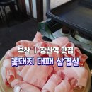 [부산/해운대구] 장산맛집 꽃돼지대패삼겹살 (내돈내산)