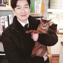 어니언마켓 이미지