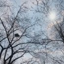 백구소공원 이미지