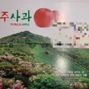 밤실농장 네이버블로그