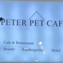 피터펫 카페 안산점 이미지