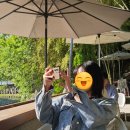 371 | 대전 카페 추천 조경이 예쁜 넓은 공간, 힐링 제대로 한 '커피인터뷰' 내돈내산 후기