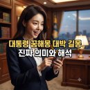 천운에너지 | 대통령 꿈해몽 총정리