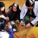 서울신자초등학교 이미지