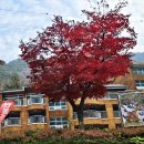 장령산자연휴양림 이미지