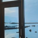 바당쿰다 이미지