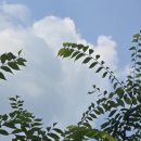 피서농장 이미지