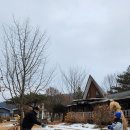 1765 | 아이와 강원도 횡성 여행)1765 삽교 카페 눈썰매, 책이 많았던 넓은 카페