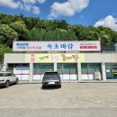 속초바람(코다리조림) | 동두천맛집 속초바람 코다리 메뉴 주차 방문후기