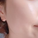 브이에이치1