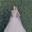 마이도터스 이미지