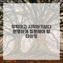 다보이는세상 네이버블로그