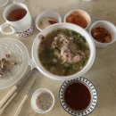 [안산] 백건한방삼계탕 포장후기 / 백종원 삼계탕 소스 레시피