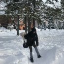 삿포로여행 필수템 | 어그부츠는 절대 비추 !